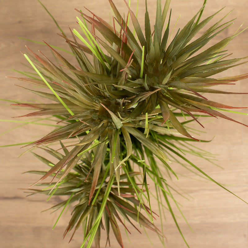 90cm Artificial Papyrus Plant
